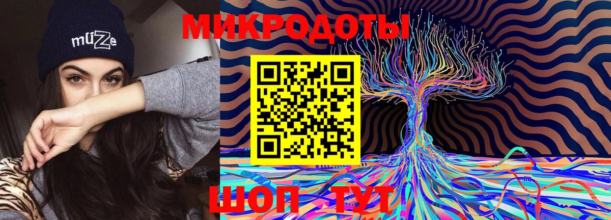 Псилоцибиновые грибы Psilocybe Краснодар